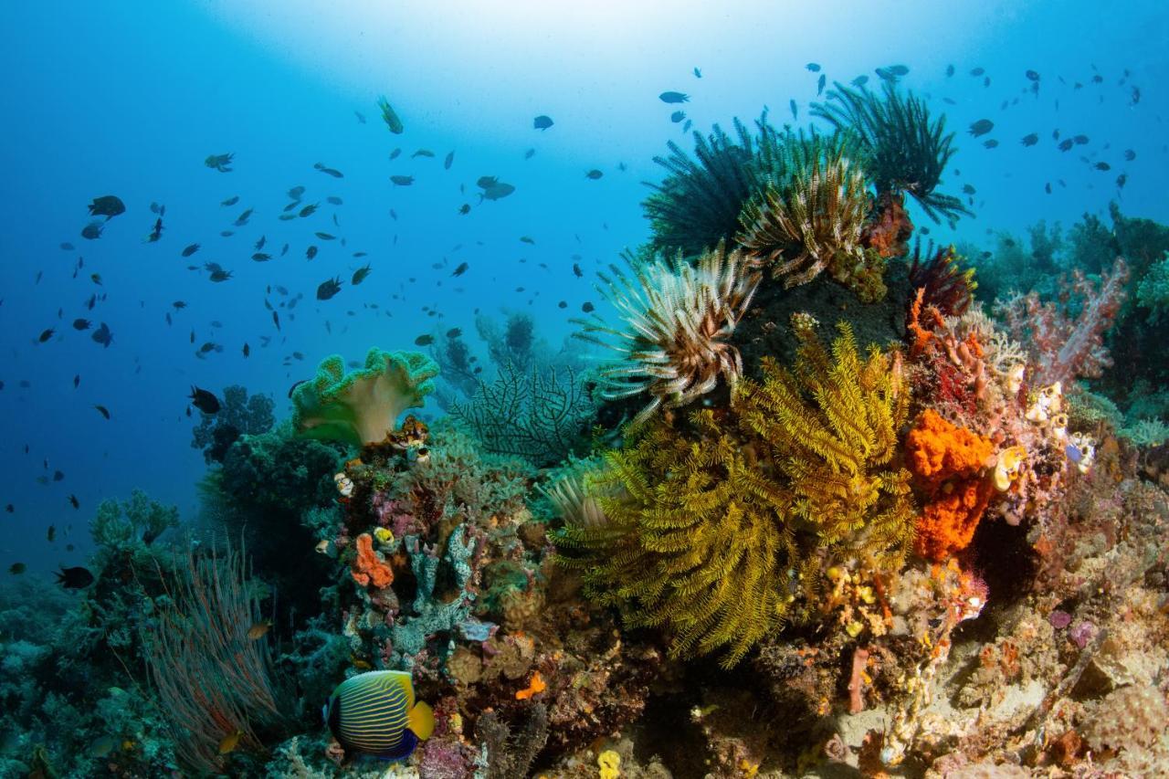 Metita Beach & Dive Resort Daruba ภายนอก รูปภาพ