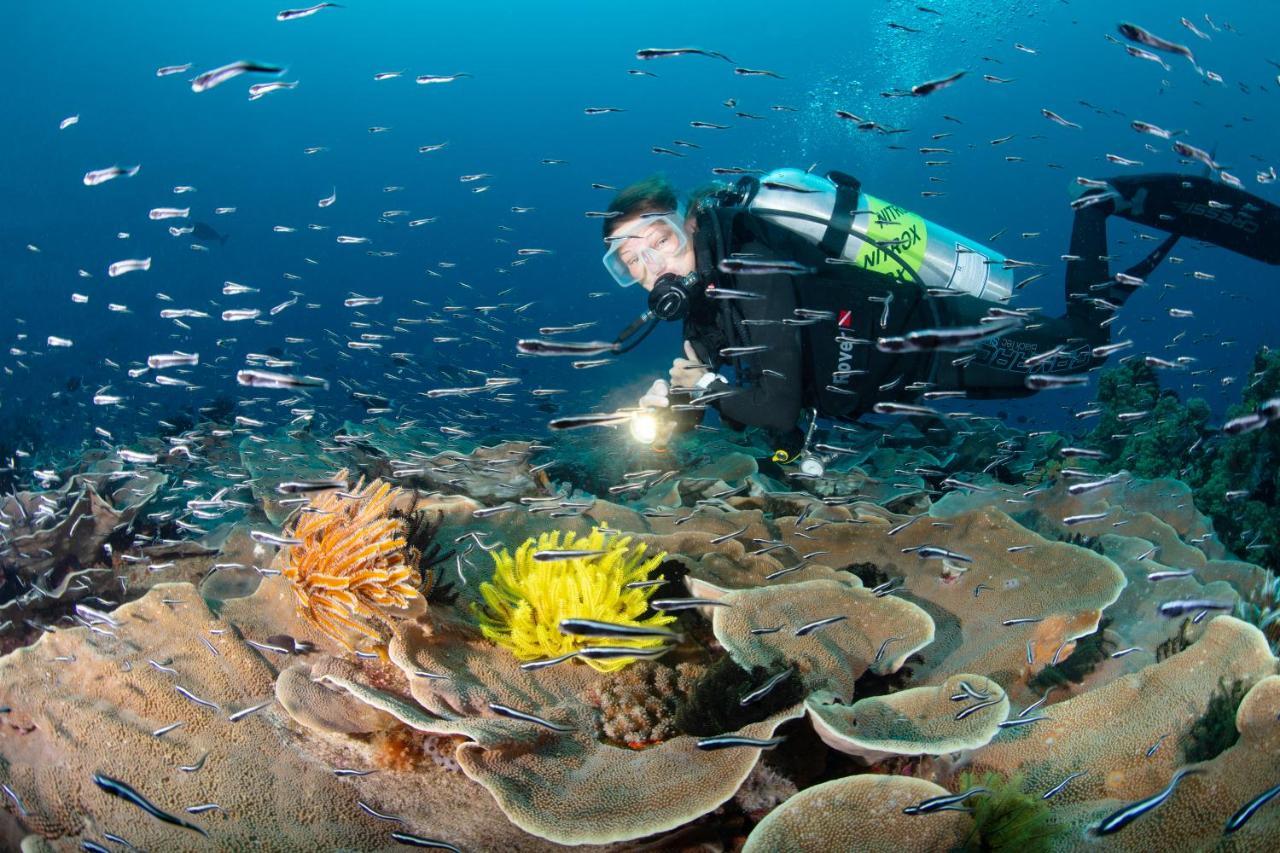 Metita Beach & Dive Resort Daruba ภายนอก รูปภาพ