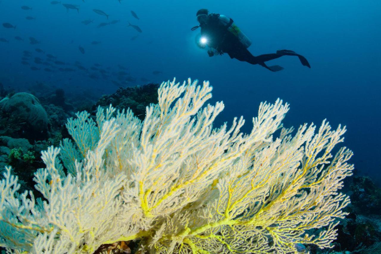 Metita Beach & Dive Resort Daruba ภายนอก รูปภาพ