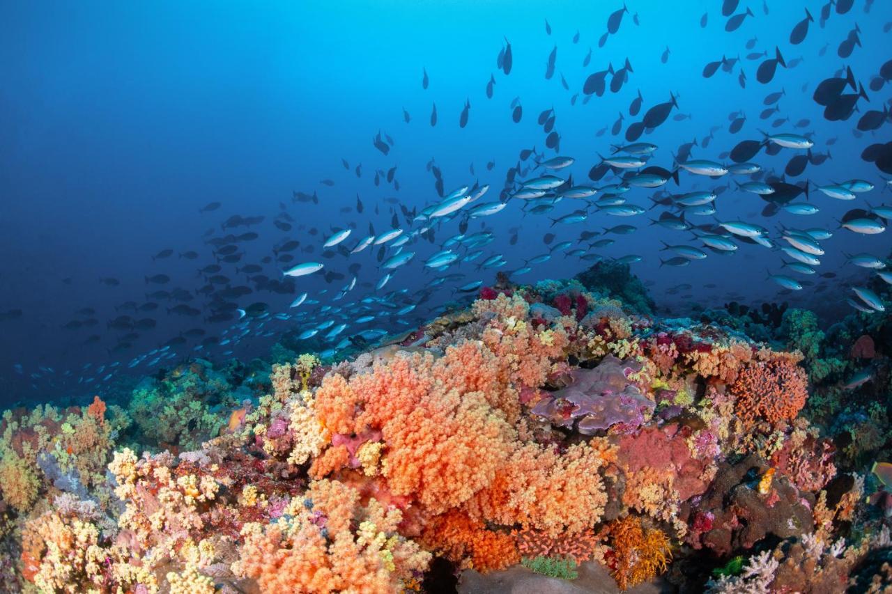 Metita Beach & Dive Resort Daruba ภายนอก รูปภาพ